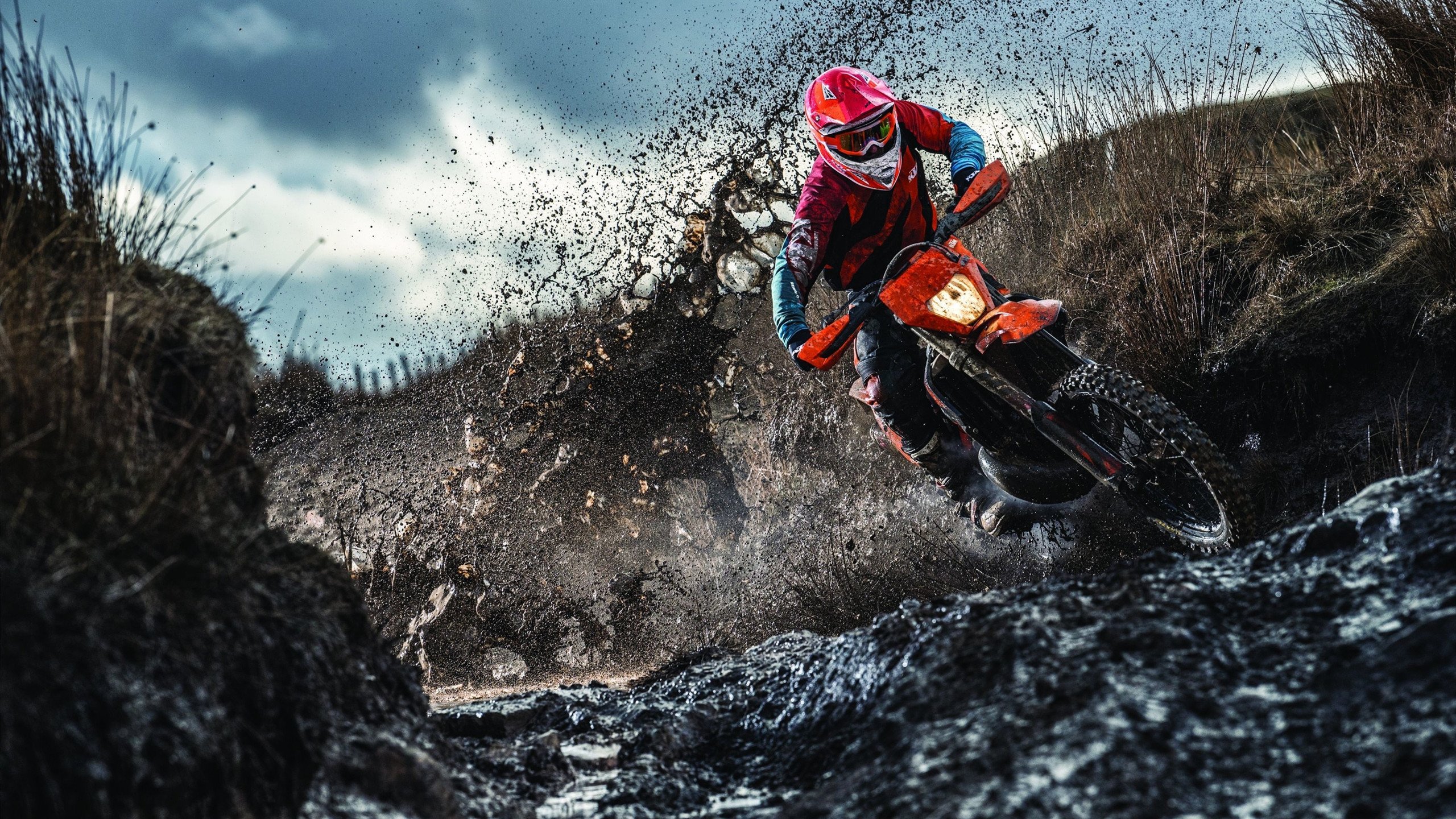 开云官网-格列兹曼爆发唤醒法兰西铁血，乌克兰轻取卡塔尔启示录，足球世界的秩序裂变