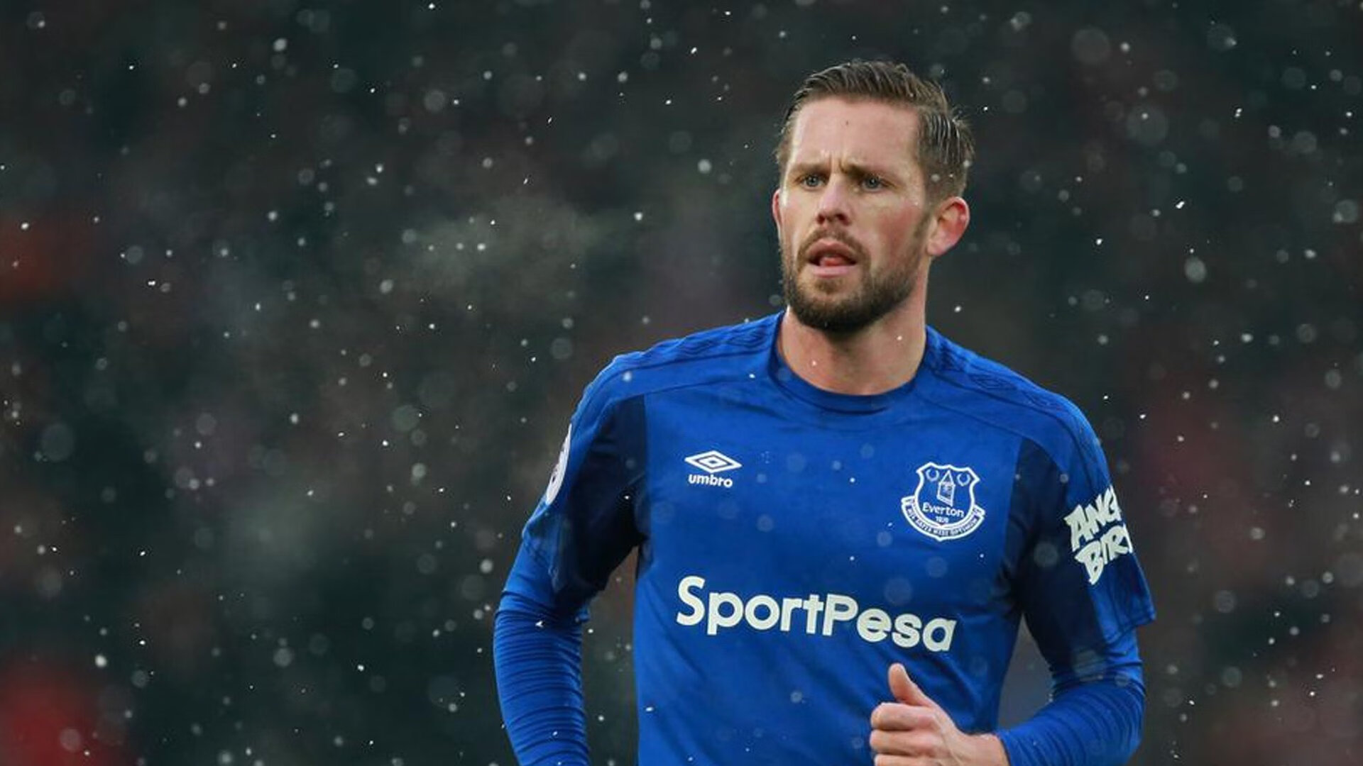 武切维奇爆发，当公牛提前终结悬念，森林狼的狼性去哪儿了？